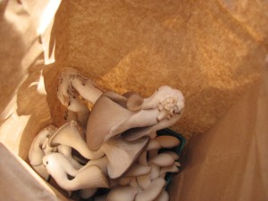 fm-blog-post-13