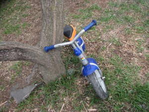 fm-blog-post-17