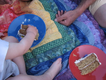 Rainbow Picnic