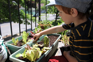 Solshine Helping Out on the Porch Garden